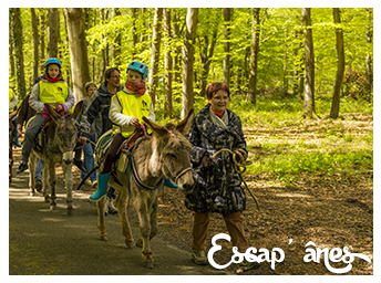 Rando’Ânes entre Bois et Campagne