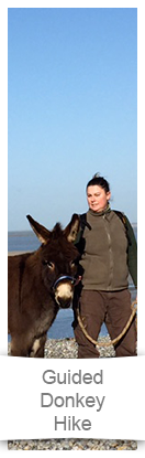 Donkey Guided Walks