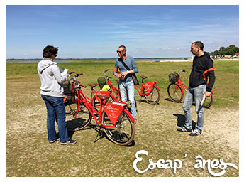 Rando’Ânes à la pointe du Hourdel